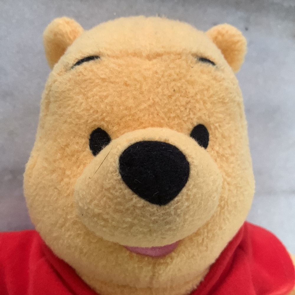 Winnie The Pooh with Rattle - Picture 2 of 7